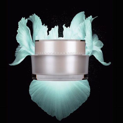 S066-深圳市升达瑞丰塑料制品有限公司